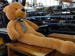 Goodwill teddy bear