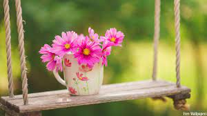 free spring flowers in a mug