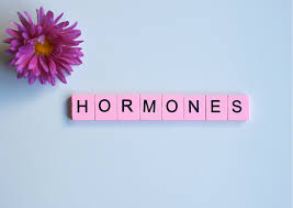 Heile deine Hormone • HEALING WISDOM