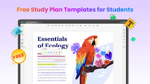 4 study plan templates you should use
