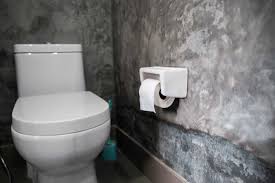 Toilet Seat Turning Black Causes And