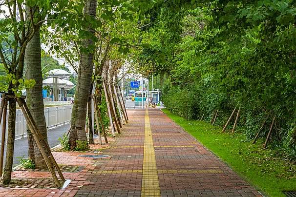 Hình ảnh Nền Lề đường, Lề đường Vector Nền Và Tập Tin Tải về Miễn Phí | Pngtree
