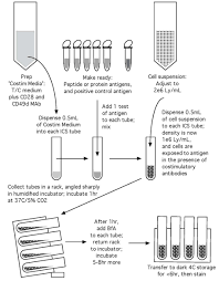Quantification Of T Cell Antigen Specific Memory Responses