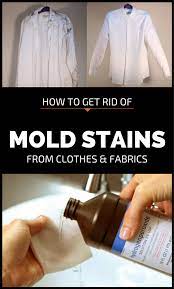 After soaking, wash the clothes with laundry detergent in your washing machine to wash away the mold and vinegar. How To Get Rid Of Mold Stains From Clothes And Fabrics Cleaning Ideas Com