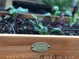 Gardener S Supply Cedar Raised Beds