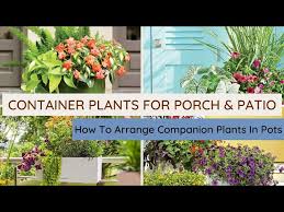Container Plants For A Porch Entrance