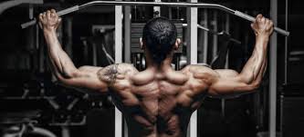 muscle hypertrophy what is it and how