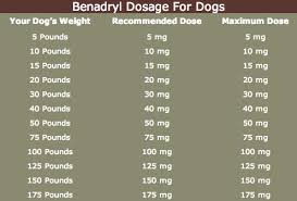This Benadryl For Dogs Dosage Chart Will Show You How Much