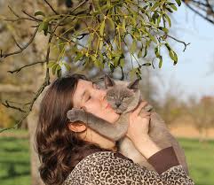 kissing your cat petcarerx