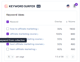 keyword surfer review features