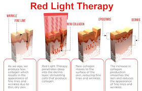 Red Light Therapy Services In Olympia Lipomelt Clinic