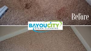 best 15 carpet cleaners in houston tx