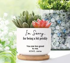 35 best gifts to tell him i m sorry