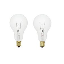 Double Life A15 Incandescent Light Bulb