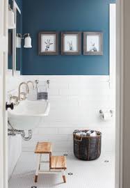 75 beautiful bathroom with blue walls