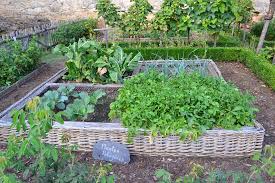 Late Winter Veggie Garden