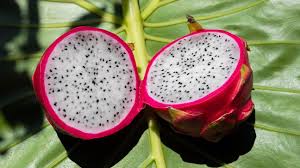 dragon fruit nutrition benefits and