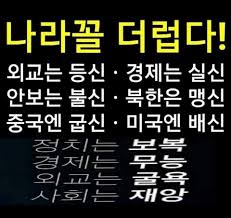 정으니가 두려워할 내용 - 보배드림 정치게시판