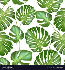 seamless tropical leaves pattern strong