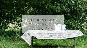 the best way to clean an area rug you