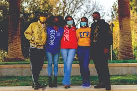 the importance of black greek life