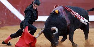 Tauromachie : le matador Alejandro Talavante ferait son retour en France