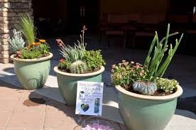 Container Gardening Ideas And Virtual