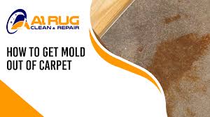 how to get mold out of carpet diy and