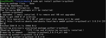 solve the error usr bin env python