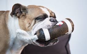 what are the best toys for bulldogs bark