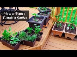 How To Plant A Container Garden Small