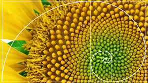 What Is the Fibonacci Sequence? | HowStuffWorks