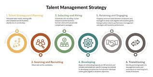 what is talent management strategy 8