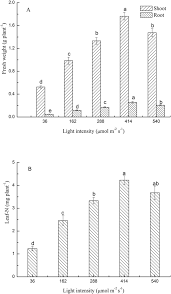 Light Intensity Affects The Uptake And