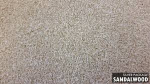 deals on full house carpets with surefit
