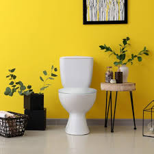 Buy Premium Toilet Seat With Soft Close