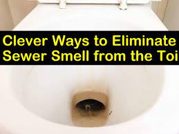 eliminate sewer smell from the toilet