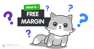 what is free margin babypips com