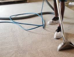 carpet cleaning carpet care