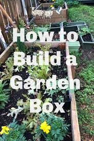 How To Build A Garden Box And What To