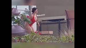 Haifa wehbe ass
