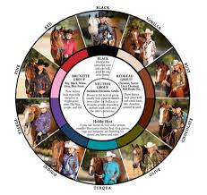 Best Winning Colors In Western Wear Color Wheel Vr Horse