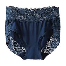 Imax Cite Womens Modal High Waist Floral Lace Panties Sexy