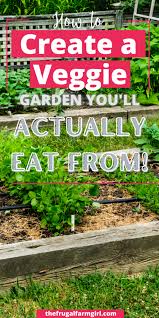 Create A Vegetable Garden In Your Backyard