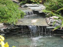 Water Garden Design And Water