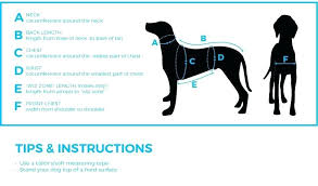 Top Paw Pet Steps Step Instructions Plastic Nataliebaker