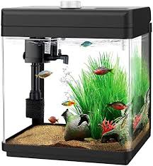 Amazon.com : AQQA 1.5 Gallon Aquarium Kits Desktop Small Fish Tank with  Filter and Light (8 Colors Adjustable) Freshwater & Saltwater Betta Fish  Tank Kit Office & Home Decor (Black) : Pet Supplies gambar png