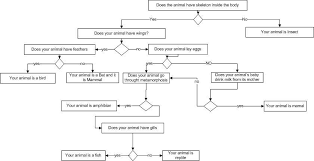 Flowchart Of Animal Identification Decision Tree Download