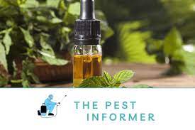 peppermint oil for mice and rats