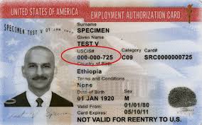 Alien registration numbers are assigned to everyone who applies for a green card, regardless of whether most people are first given an alien registration number when they apply for a green card. Where Do I Find My Alien Registration Number Or A Number